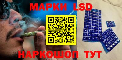 стафф Камышлов