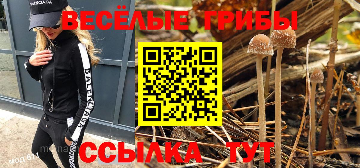 Галлюциногенные грибы MAGIC MUSHROOMS  Галлюциногенные грибы Cubensis  Лесозаводск  Вход с VPN 