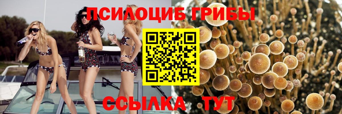 Галлюциногенные грибы мицелий Лесозаводск